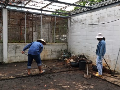นิสิตพืชไร่นา รวมตัวกันทำความสะอาดและพัฒนาโรงเรือนทดลอง ภาควิชาพืชไร่นา คณะเกษตรศาสตร์ — ภาพที่ 27