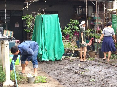 นิสิตพืชไร่นา รวมตัวกันทำความสะอาดและพัฒนาโรงเรือนทดลอง ภาควิชาพืชไร่นา คณะเกษตรศาสตร์ — ภาพที่ 26