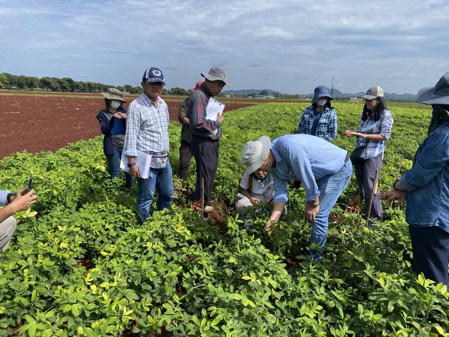สำนักงานพัฒนาการวิจัยการเกษตร (องค์การมหาชน) (สวก.) ประเมินโครงการวิจัย — ภาพที่ 4
