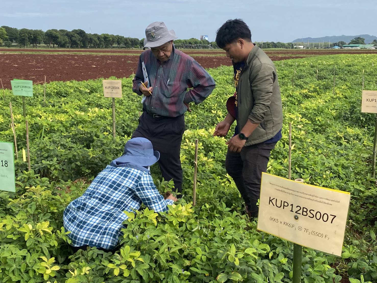สำนักงานพัฒนาการวิจัยการเกษตร (องค์การมหาชน) (สวก.) ประเมินโครงการวิจัย — ภาพที่ 7