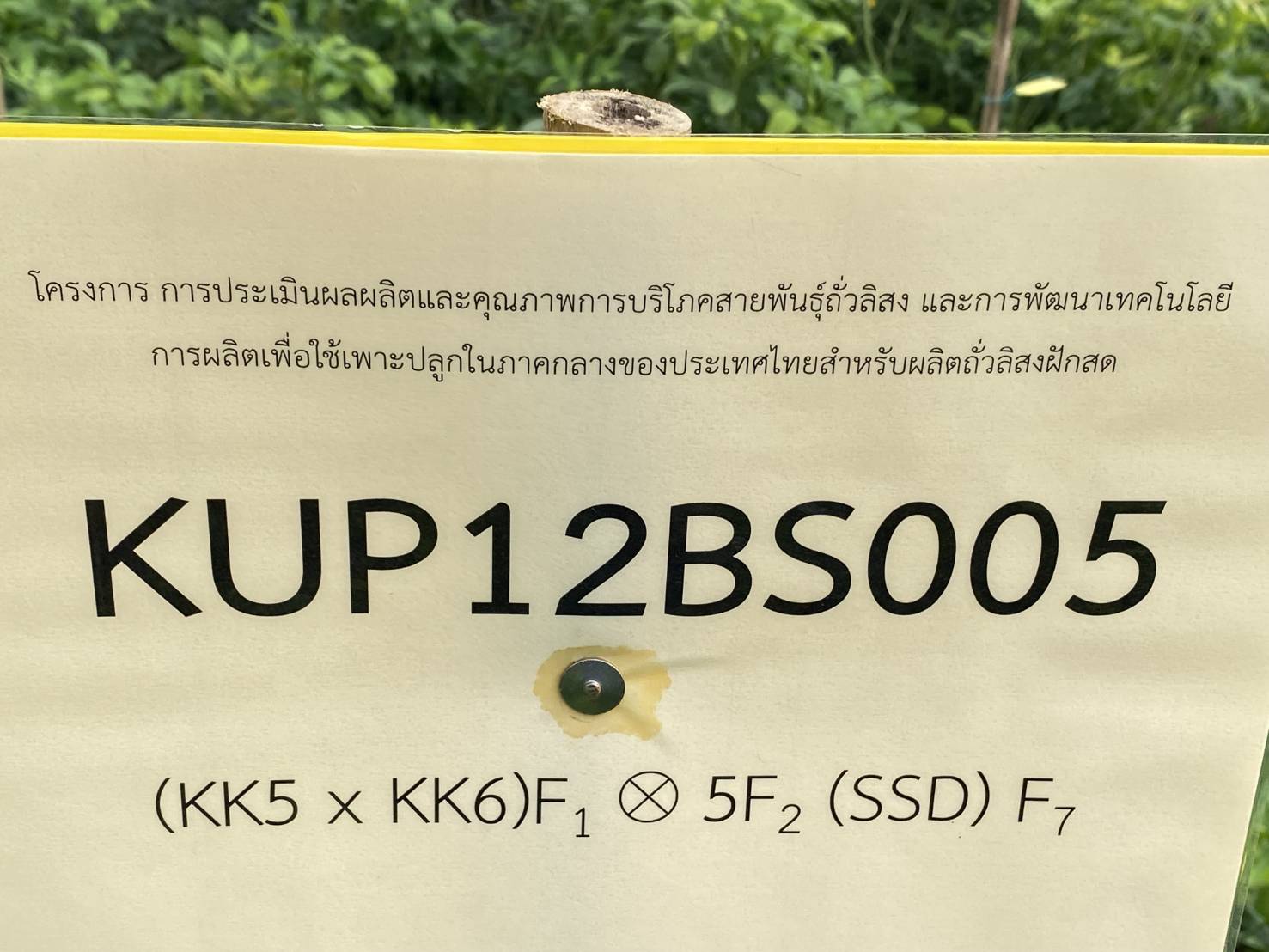 สำนักงานพัฒนาการวิจัยการเกษตร (องค์การมหาชน) (สวก.) ประเมินโครงการวิจัย — ภาพที่ 10